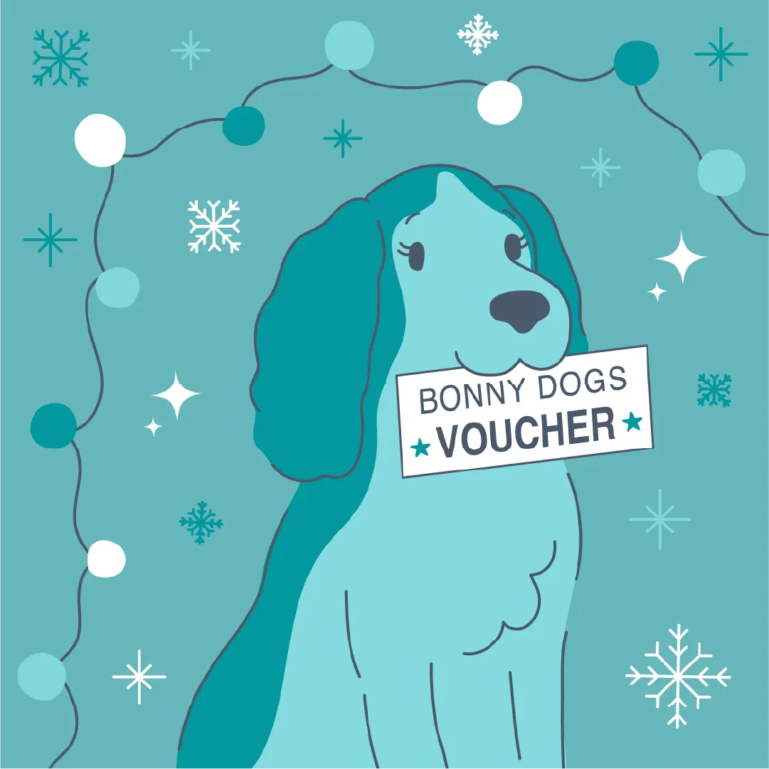 Social media post for Bonny Dogs Grooming Academy featuring a digitally illustrated cocker spaniel in brand turquoise colours, holding a Bonny Dogs voucher in it's mouth, surrounded by fairy lights and snowflakes