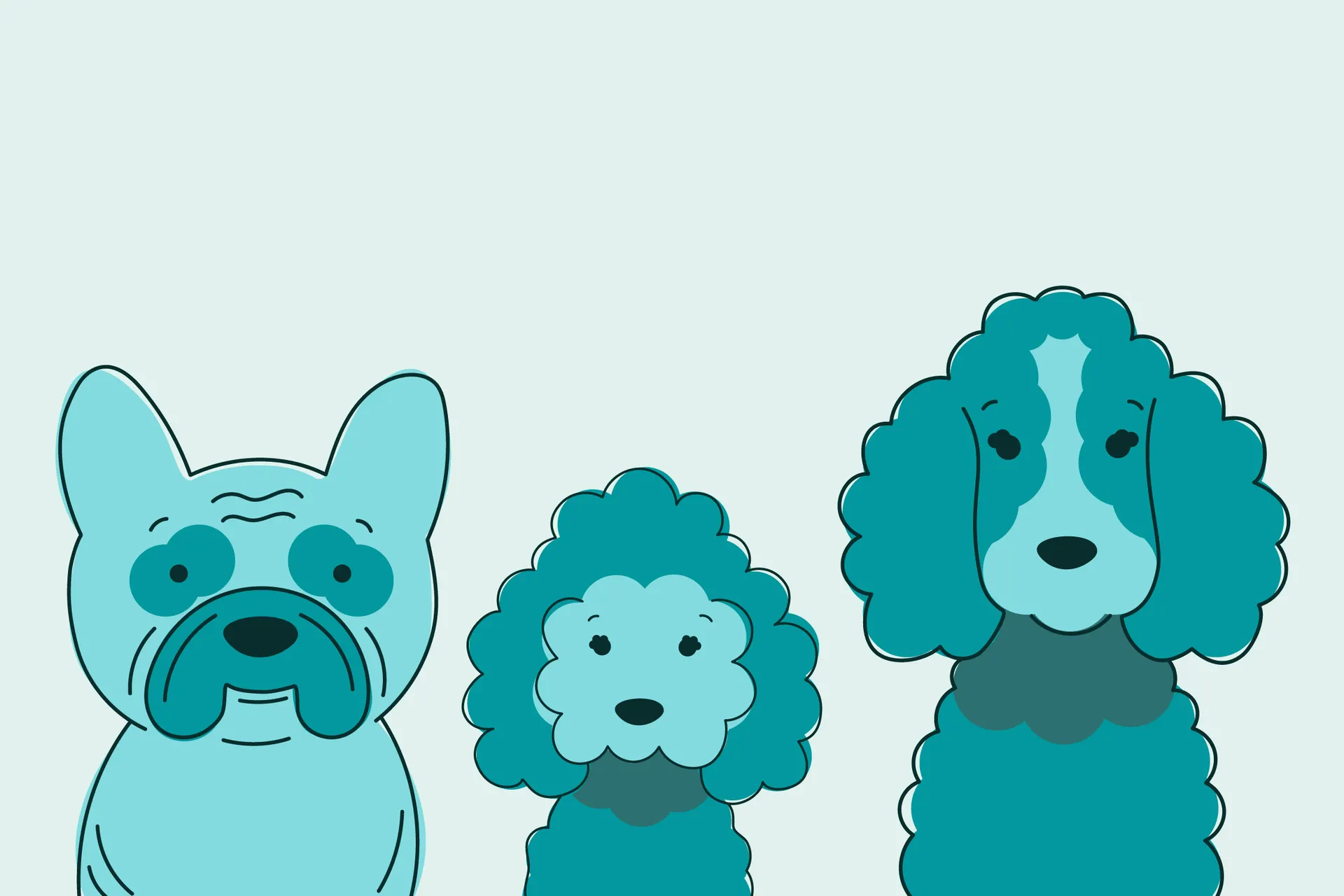 Bespoke illustrations designed for Bonny Dogs illustrations, in a playful and cartoon style, featuring a french bulldog, toy poodle and cocker spaniel in the brand turqoise colours