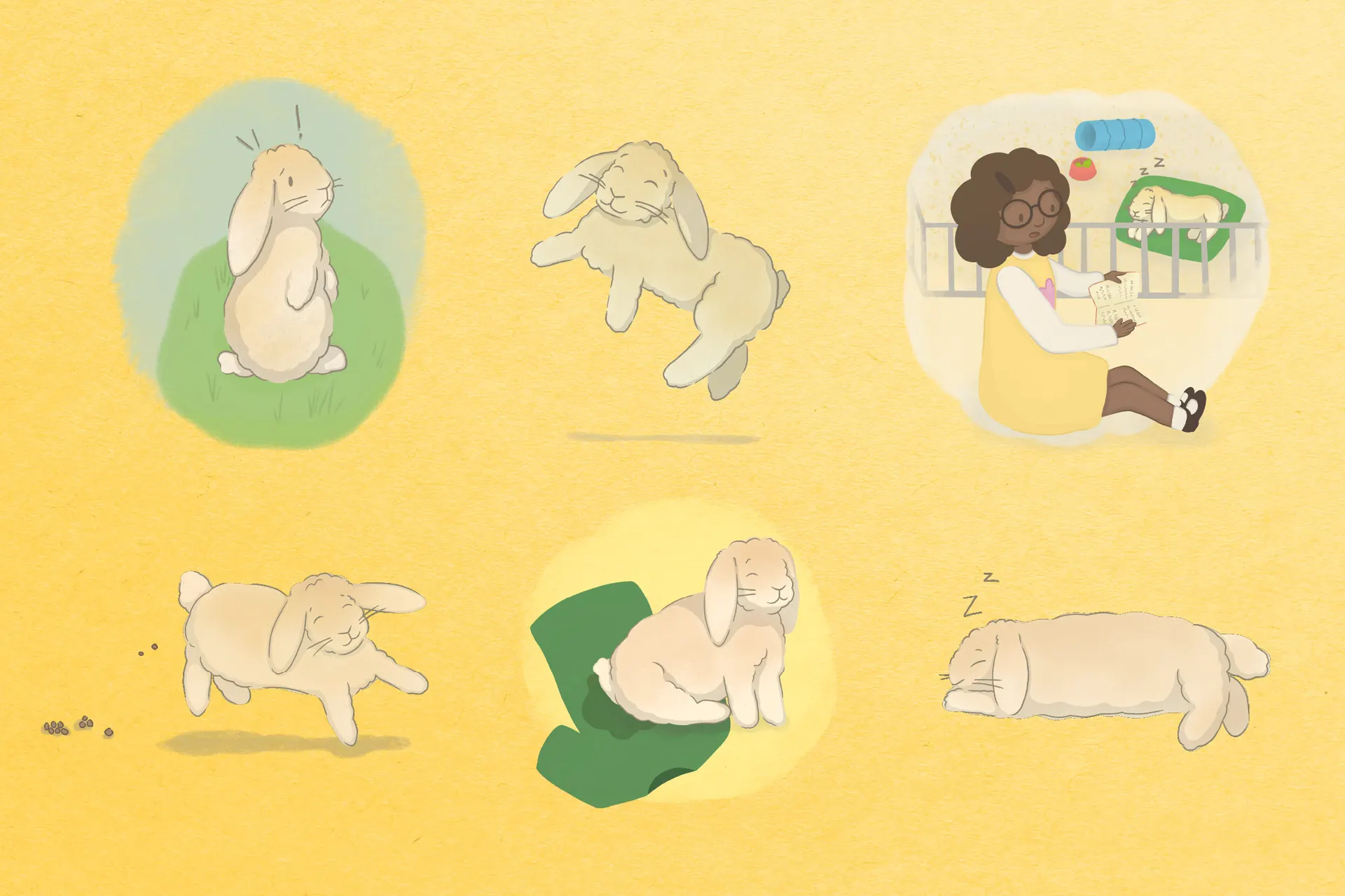 Spot illustrations of Honey the rabbit in different emotions and poses. Including Honey sleeping, jumping, pooping, peeing on a shirt, turning around in shock, and being read a story by her owner