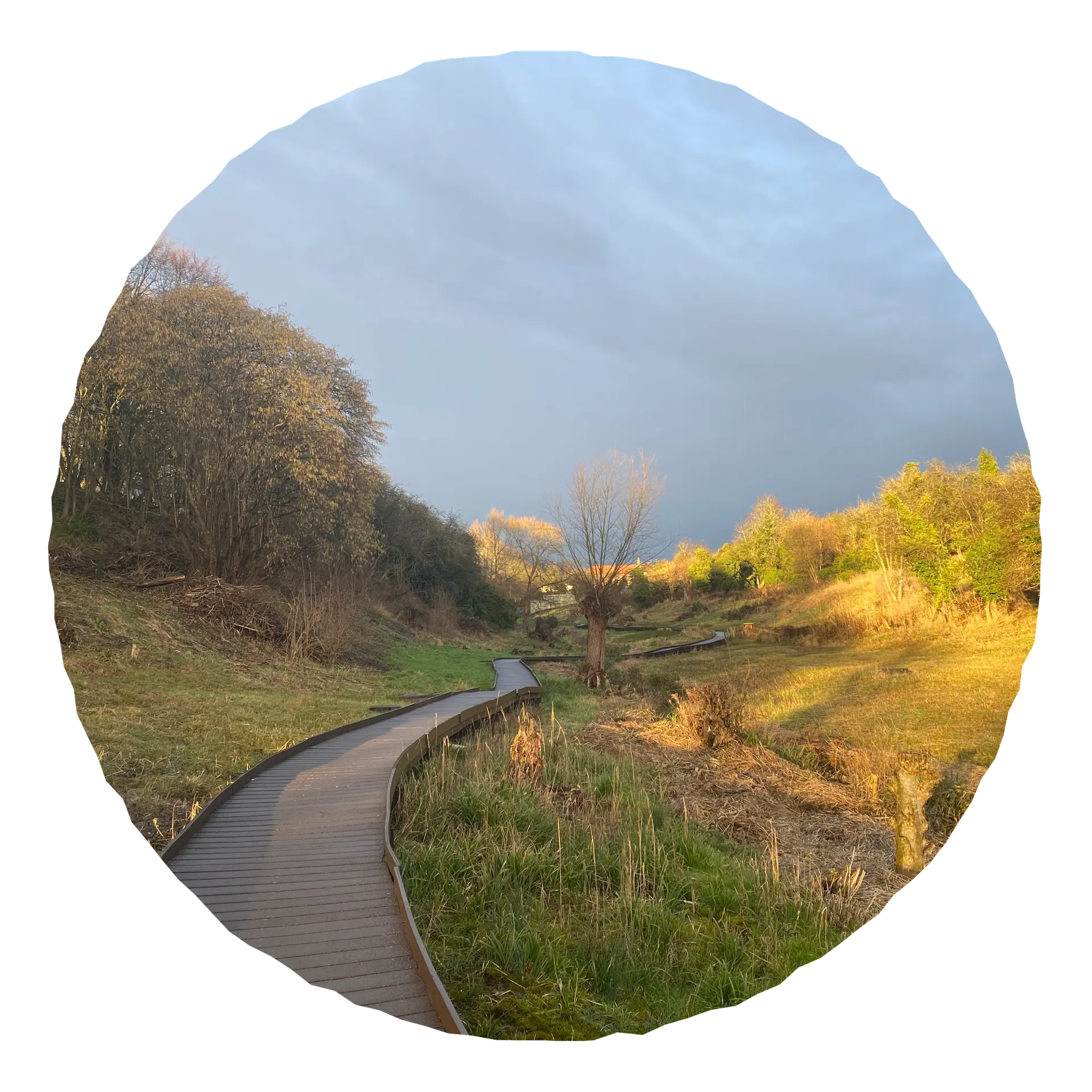 Lye Valley, Oxfordshire — a nature reserve Orla loves