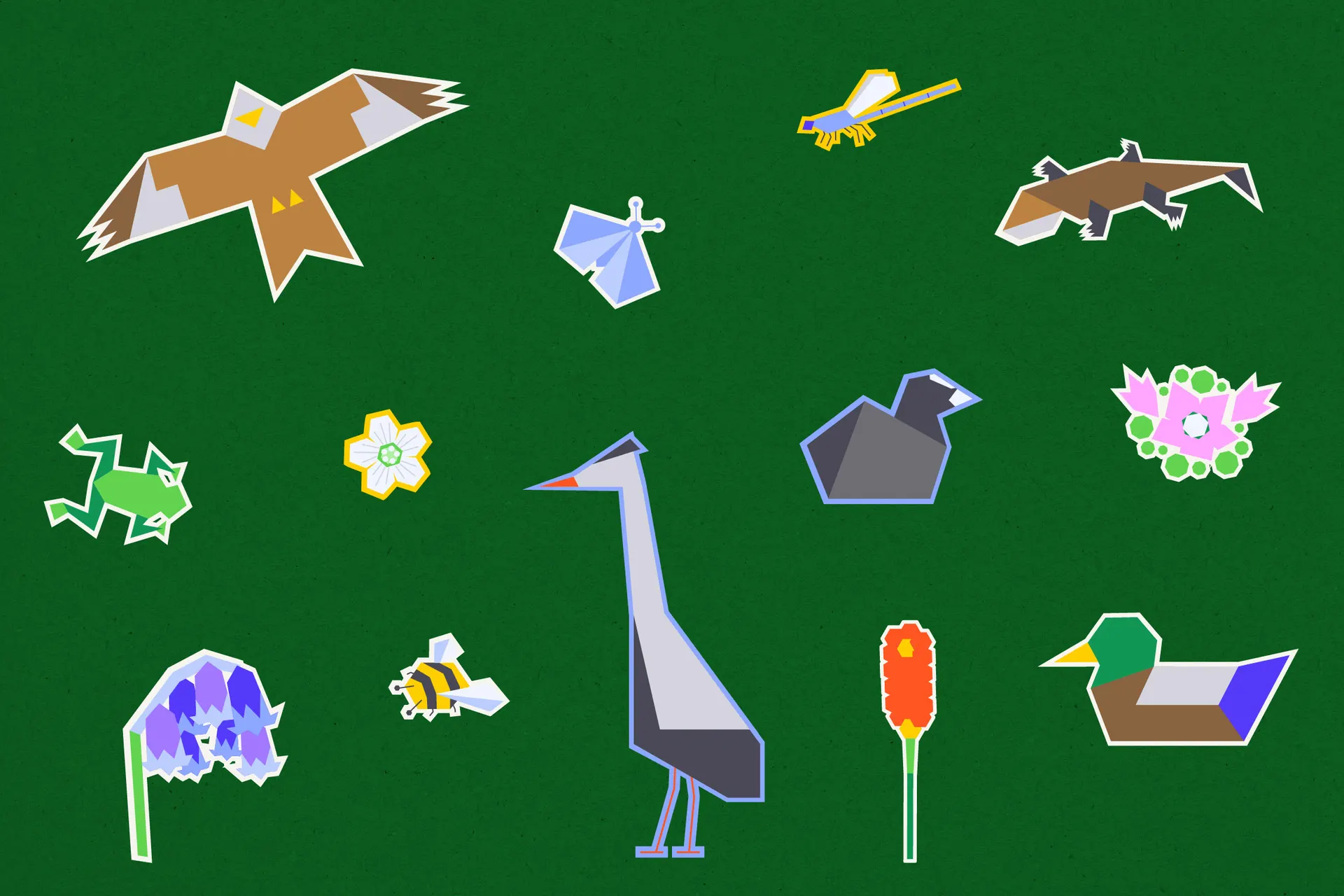 Digital, geometric, sticker style illustrations of UK wildlife that can be found around Oxfordshire, including red kite, coot, heron, mallard duck, bluebells, common lizard, damselfly and frog