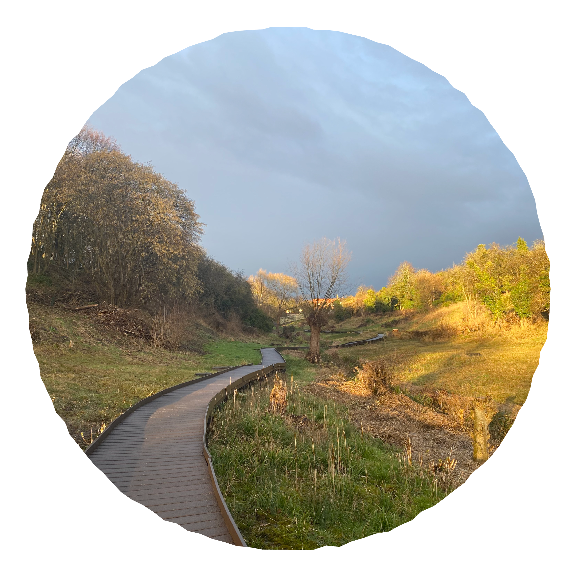 Lye Valley, Oxfordshire — a nature reserve Orla loves
