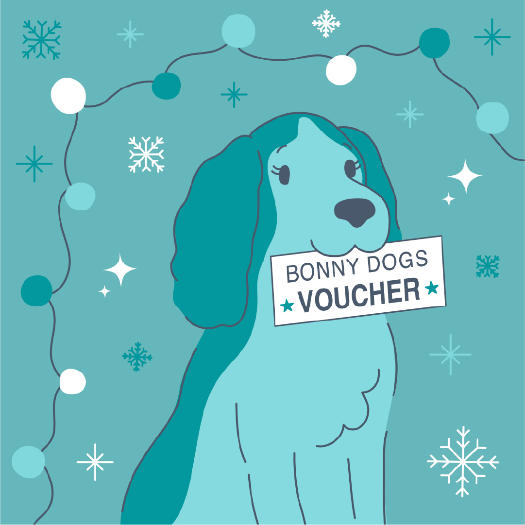 Social media post for Bonny Dogs Grooming Academy featuring a digitally illustrated cocker spaniel in brand turquoise colours, holding a Bonny Dogs voucher in it's mouth, surrounded by fairy lights and snowflakes