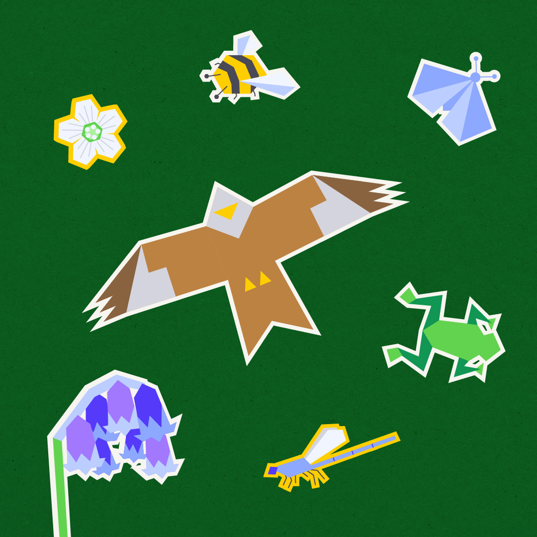 UK animal and wildlife illustrations in a digital, geometric sticker style. Including a red kite, frog, bee, damselfly and bluebell