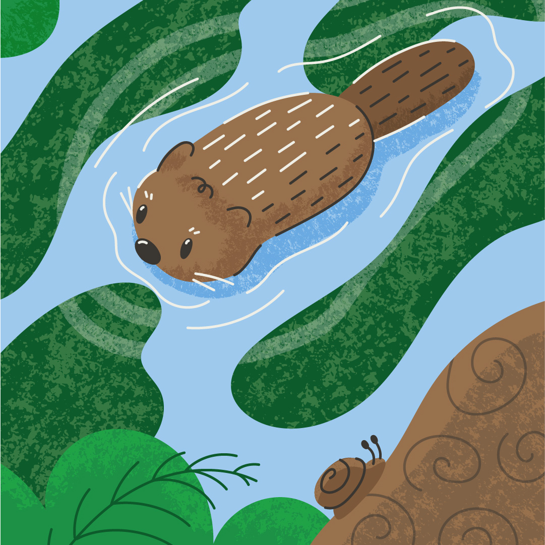 Digital illustration of a beaver swimming in a river, for the Rivers Flowing prompt